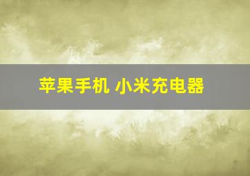 苹果手机 小米充电器